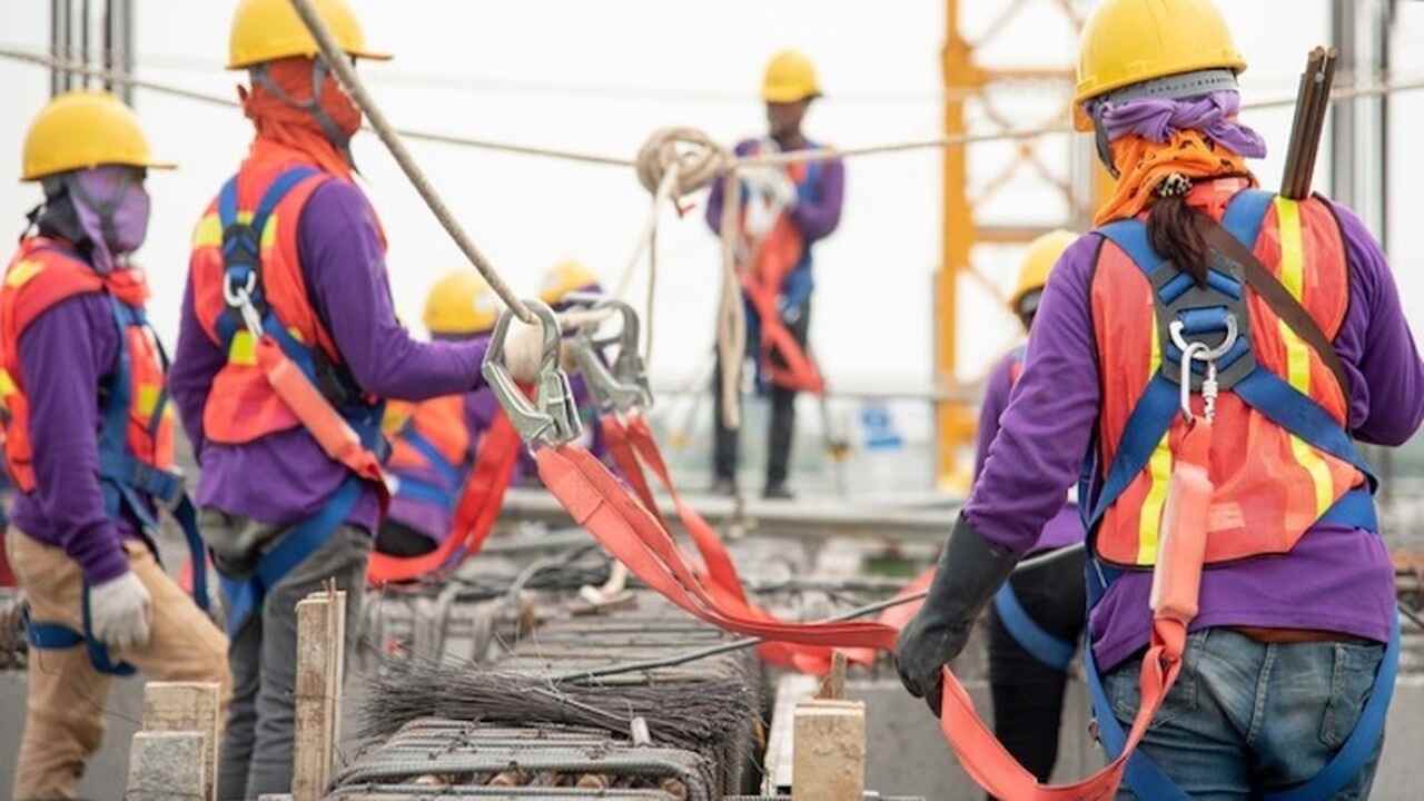 sistema per cercare lavoro