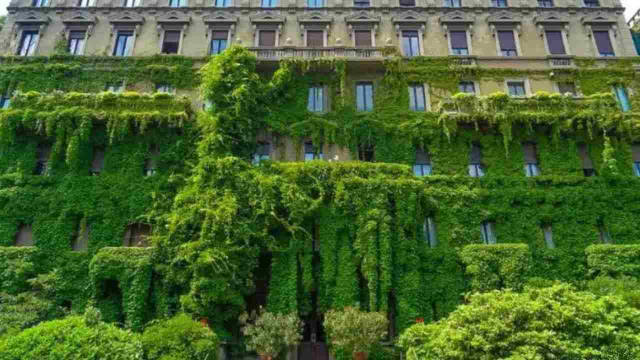 Casa dell'edera a Milano