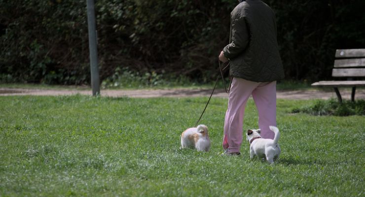 Donna con cani nel giardino