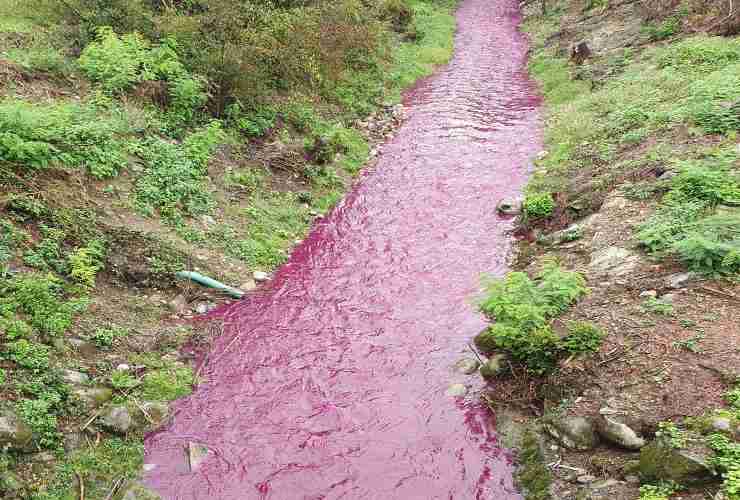 Torrente-Lura-di-colore-viola (