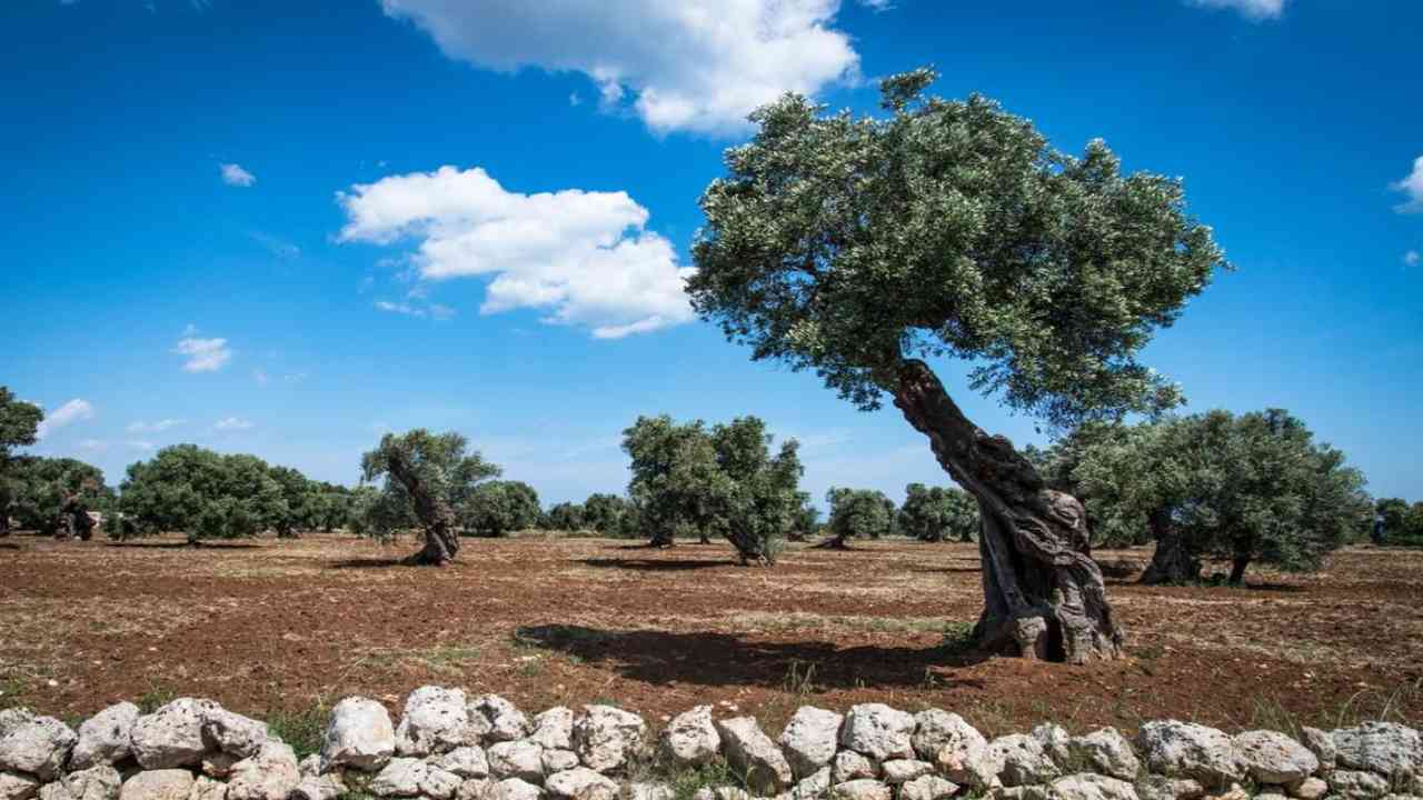 Puglia